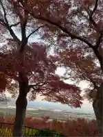 石清水八幡宮(京都府)