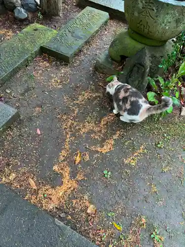 かっぱの寺 栖足寺(静岡県)