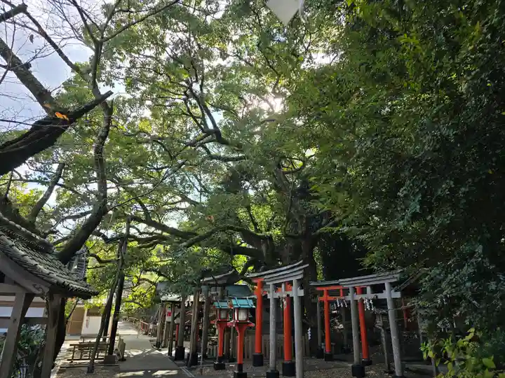 日根神社(大阪府)