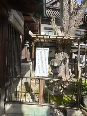 松山神社(愛知県)