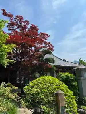 崇禅寺(群馬県)