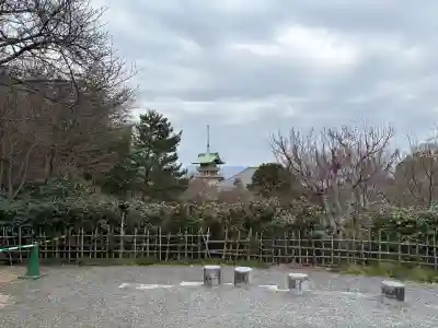 高台寺(高台寿聖禅寺・高臺寺)(京都府)