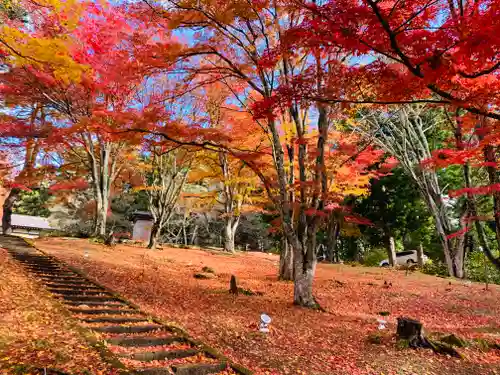 土津神社｜こどもと出世の神さまの庭園