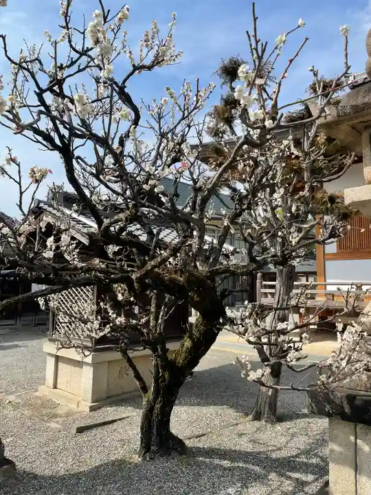 菅生神社の自然