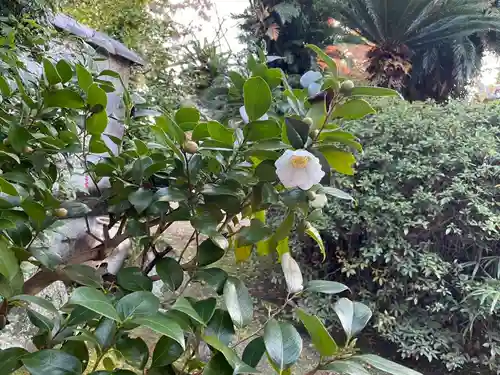 伊勢の国 四天王寺の自然