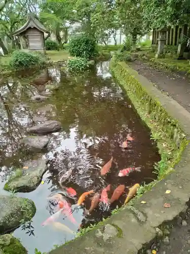 阿蘇神社(熊本県)