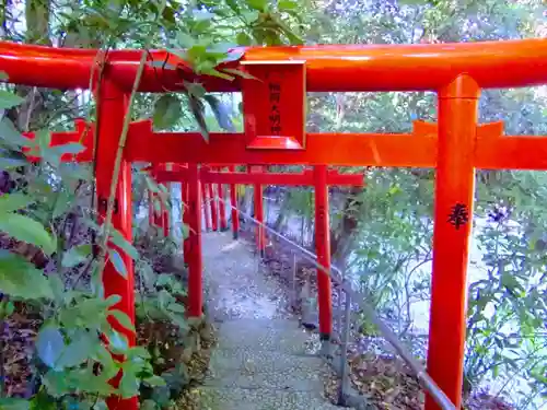 白笹稲荷神社の鳥居