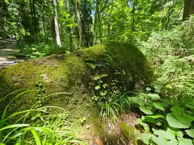 戸隠神社奥社(長野県)