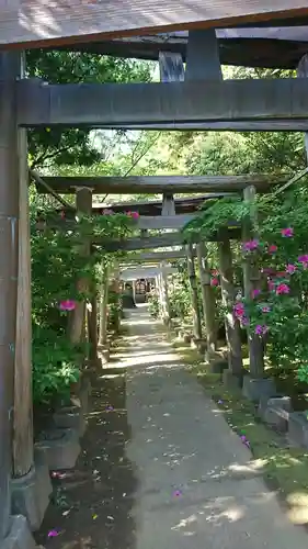 厳嶋神社の鳥居