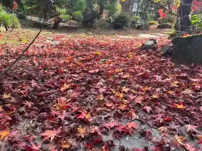 木舟山　順教寺(広島県)