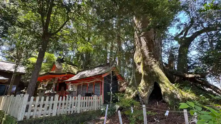 高原熊野神社(和歌山県)