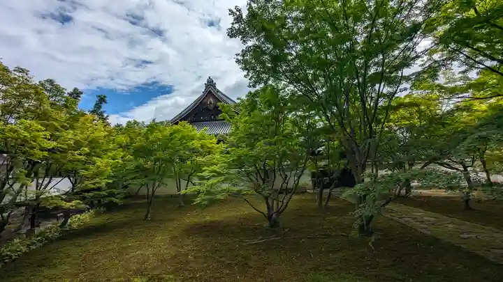妙覺寺(妙覚寺)(京都府)