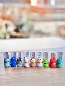 浄土寺(兵庫県)(2026年03月06日(金) 07時07分13秒投稿)