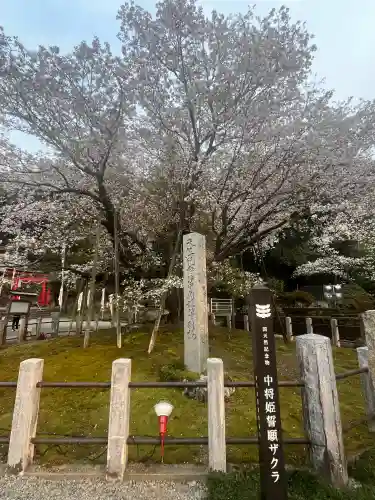 願成寺の{uncategorized: "未分類", other: "その他", undefined: "問題あり", building: "その他建物", grave: "お墓", sacred_gate: "鳥居", guardian: "狛犬", statue: "像", buddha: "仏像", history: "歴史", nature: "自然", garden: "庭園", animal: "動物", pagoda: "塔", temizu: "手水舎", mountain_gate: "山門・神門", sanctuary: "本殿・本堂", subordinate: "末社・摂社", art: "芸術", scenery: "景色", jizo: "地蔵", ema: "絵馬", goshuin: "御朱印", omikuji: "おみくじ", items: "授与品その他", amulet: "お守り", goshuincho: "御朱印帳", eats: "食事", festival: "お祭り", votive_dance: "神楽", shichigosan: "七五三参", wedding: "結婚式", experience: "体験その他", initially: "初詣", around: "周辺", anti_infection: "感染症対策"}
