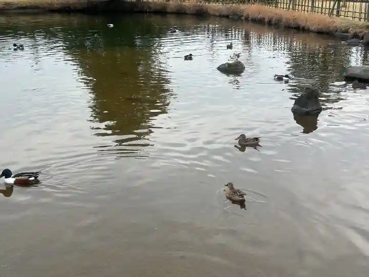 東本願寺本廟 牛久浄苑(牛久大仏)(茨城県)