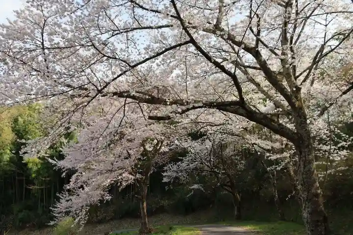 三春大神宮の自然