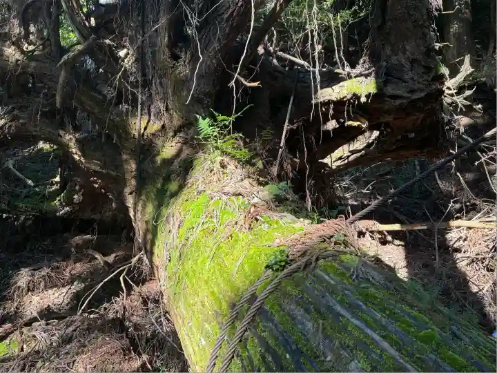 愛宕神社(京都府)