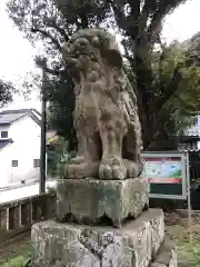 美保神社の狛犬