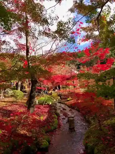 禅林寺（永観堂）(京都府)