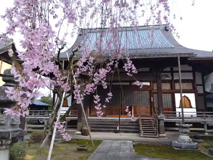 安養寺(福井県)