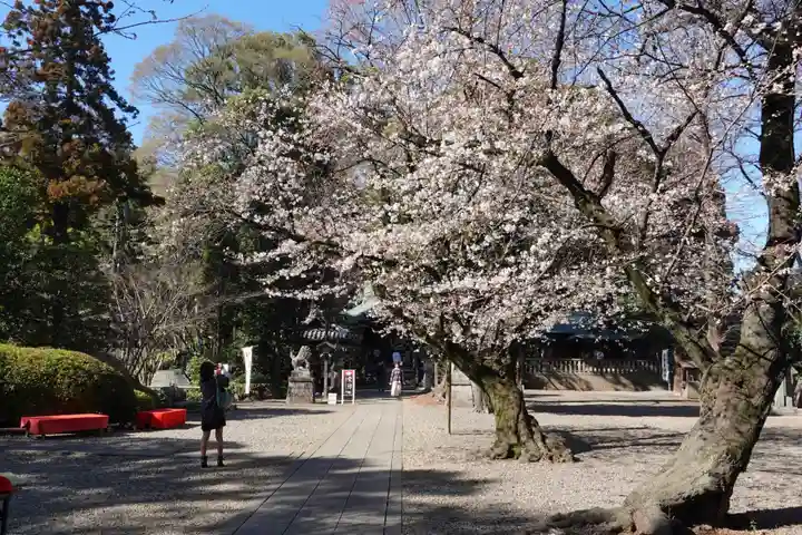 岩槻久伊豆神社(埼玉県)