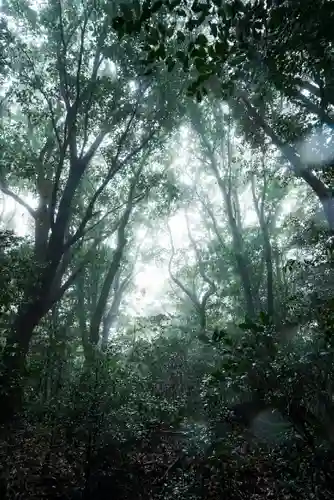 南原寺(山口県)