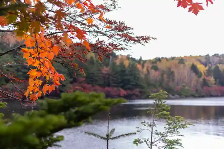 大瀧神社(長野県)