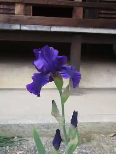 得浄明院（善光寺別院）の自然