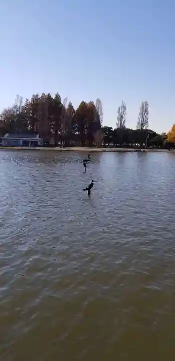 大下稲荷神社の動物