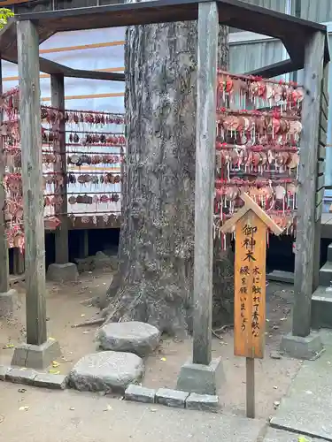 越谷香取神社の絵馬