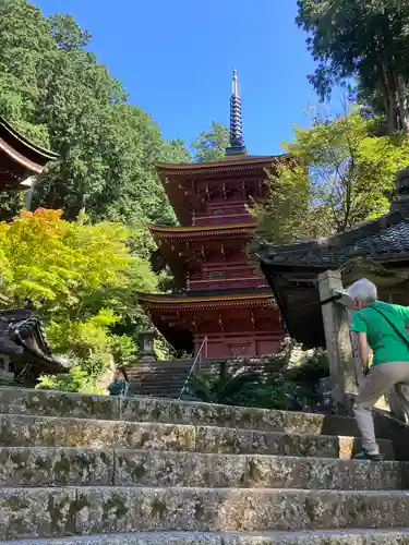 長命寺の建物その他