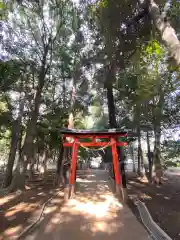 氷川神社(埼玉県)