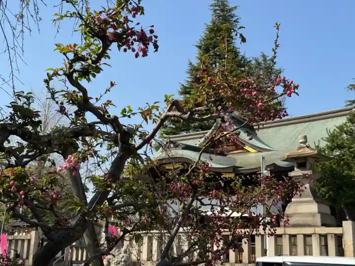尾久八幡神社の{uncategorized: "未分類", other: "その他", undefined: "問題あり", building: "その他建物", grave: "お墓", sacred_gate: "鳥居", guardian: "狛犬", statue: "像", buddha: "仏像", history: "歴史", nature: "自然", garden: "庭園", animal: "動物", pagoda: "塔", temizu: "手水舎", mountain_gate: "山門・神門", sanctuary: "本殿・本堂", subordinate: "末社・摂社", art: "芸術", scenery: "景色", jizo: "地蔵", ema: "絵馬", goshuin: "御朱印", omikuji: "おみくじ", items: "授与品その他", amulet: "お守り", goshuincho: "御朱印帳", eats: "食事", festival: "お祭り", votive_dance: "神楽", shichigosan: "七五三参", wedding: "結婚式", experience: "体験その他", initially: "初詣", around: "周辺", anti_infection: "感染症対策"}