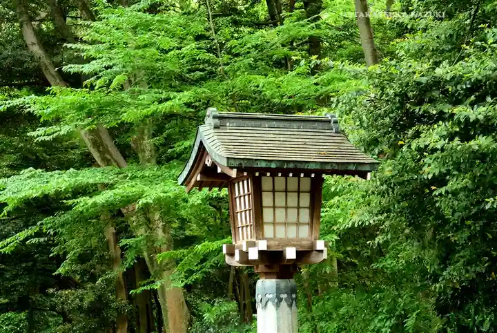 明治神宮(東京都)