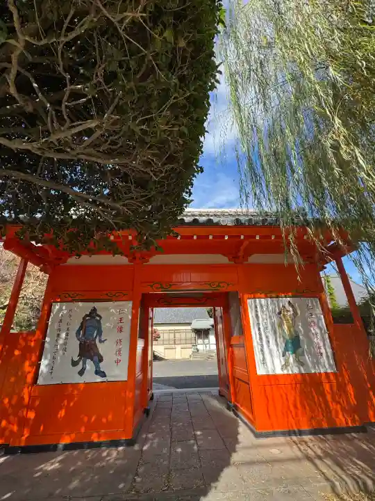 龍蔵寺(青柳大師)(群馬県)