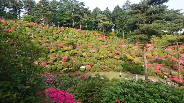 塩船観音寺(東京都)