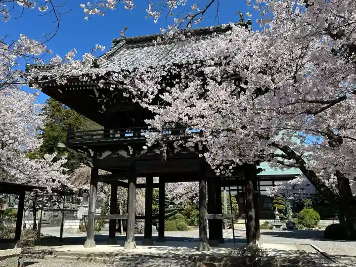 正麟寺の{uncategorized: "未分類", other: "その他", undefined: "問題あり", building: "その他建物", grave: "お墓", sacred_gate: "鳥居", guardian: "狛犬", statue: "像", buddha: "仏像", history: "歴史", nature: "自然", garden: "庭園", animal: "動物", pagoda: "塔", temizu: "手水舎", mountain_gate: "山門・神門", sanctuary: "本殿・本堂", subordinate: "末社・摂社", art: "芸術", scenery: "景色", jizo: "地蔵", ema: "絵馬", goshuin: "御朱印", omikuji: "おみくじ", items: "授与品その他", amulet: "お守り", goshuincho: "御朱印帳", eats: "食事", festival: "お祭り", votive_dance: "神楽", shichigosan: "七五三参", wedding: "結婚式", experience: "体験その他", initially: "初詣", around: "周辺", anti_infection: "感染症対策"}