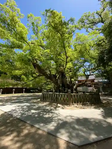 大山祇神社の自然
