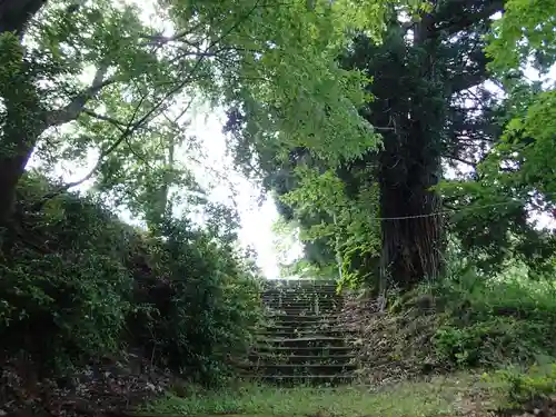長岡神社・八幡神社・天御布須麻神社の自然