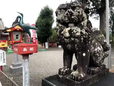 箱崎八幡神社の狛犬