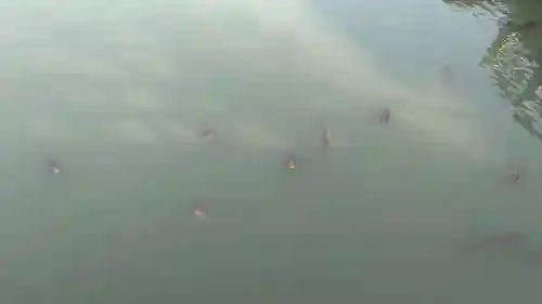 長岡天満宮(京都府)