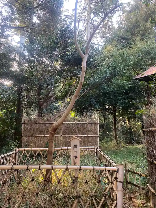 矢奈比賣神社(見付天神)(静岡県)