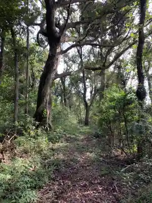 浅間神社の周辺
