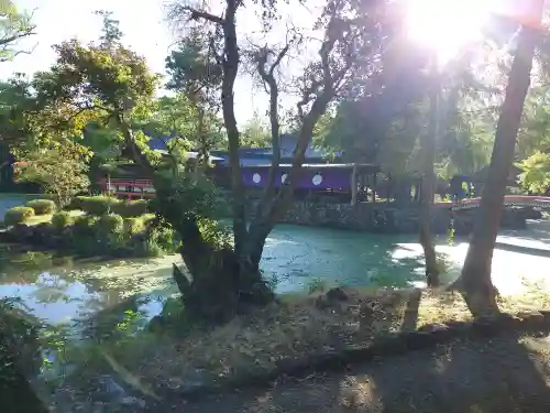 宇佐神宮(大分県)