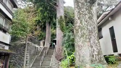 日枝神社(静岡県)