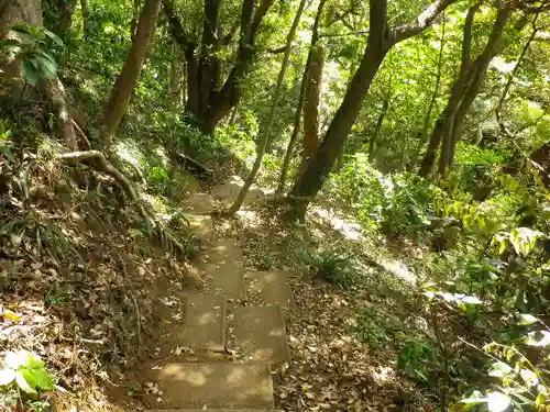 浄光明寺の自然