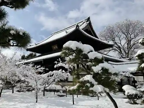 興聖寺の本殿・本堂