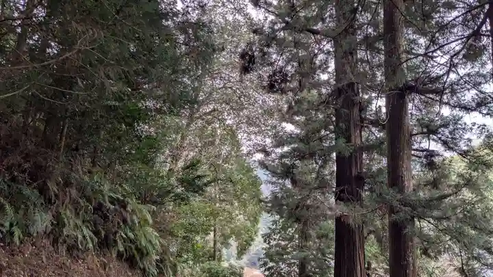 天一神社(愛媛県)