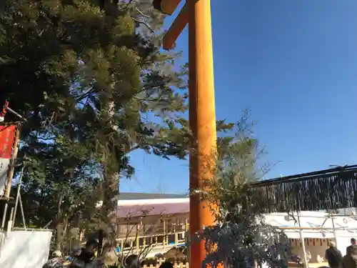 川越氷川神社(埼玉県)