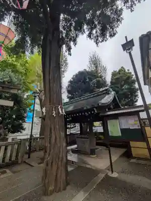 居木神社(東京都)